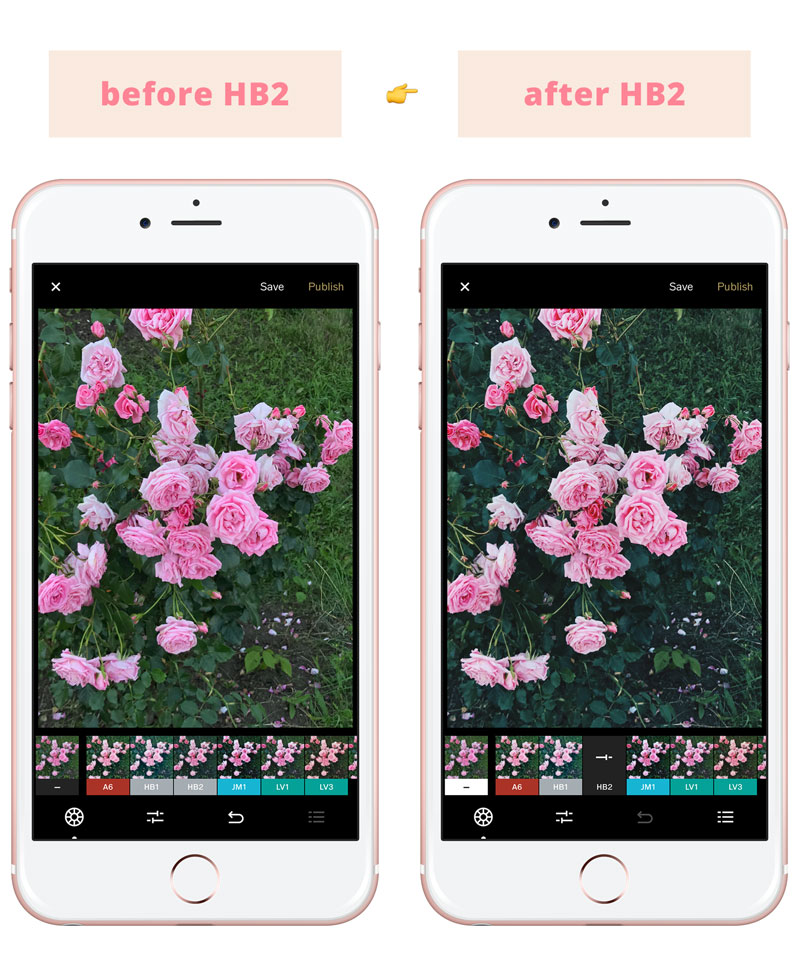 Instagram Feed Tips For Success - Best VSCO filters for Instagram feed: HB2
